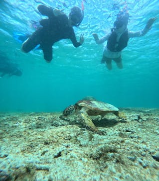 宮古島 ADVENTURE PiPi（ミヤコジマ アドベンチャー ピピ）に投稿された画像（2024/5/25）