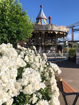 ひらかたパークに投稿された画像（2024/5/25）