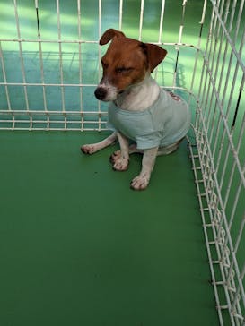 つくばわんわんランドに投稿された画像（2024/5/25）