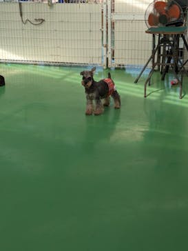 つくばわんわんランドに投稿された画像（2024/5/25）