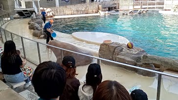 城崎マリンワールドに投稿された画像（2024/5/25）