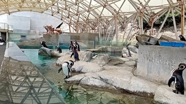 城崎マリンワールドに投稿された画像（2024/5/25）