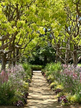 浜名湖花博2024に投稿された画像（2024/5/26）