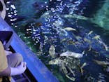 しながわ水族館に投稿された画像（2024/5/26）