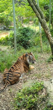 よこはま動物園ズーラシアに投稿された画像（2024/5/26）
