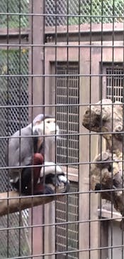 よこはま動物園ズーラシアに投稿された画像（2024/5/26）