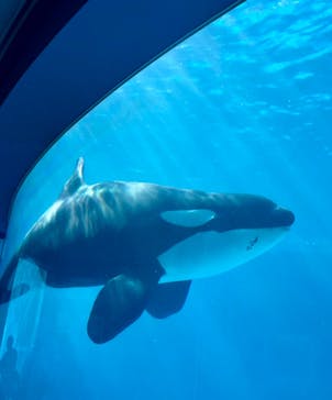 名古屋港水族館に投稿された画像（2024/5/26）