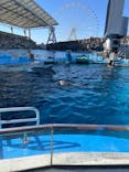 名古屋港水族館に投稿された画像（2024/5/26）
