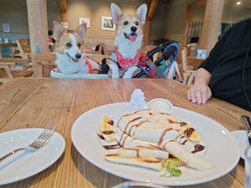 わんダフルネイチャーヴィレッジに投稿された画像（2024/5/26）