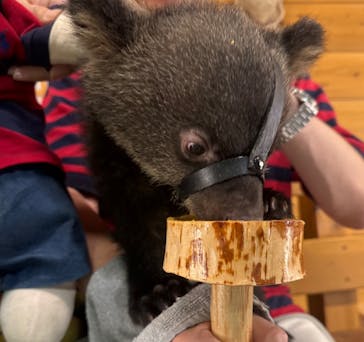 奥飛騨クマ牧場に投稿された画像（2024/5/26）