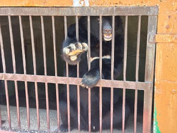 奥飛騨クマ牧場に投稿された画像（2024/5/26）