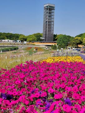 浜名湖花博2024に投稿された画像（2024/5/26）