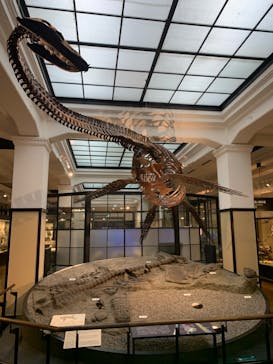 国立科学博物館に投稿された画像（2024/5/26）