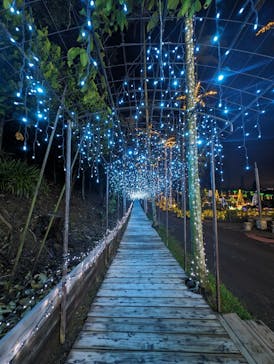 美らヤシパークオキナワ・東南植物楽園に投稿された画像（2024/5/26）