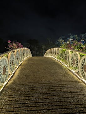 美らヤシパークオキナワ・東南植物楽園に投稿された画像（2024/5/26）