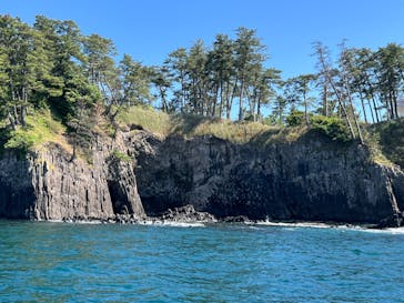 東尋坊観光遊覧船株式会社に投稿された画像（2024/5/26）