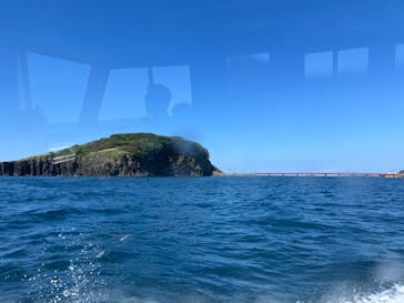 東尋坊観光遊覧船株式会社に投稿された画像（2024/5/26）