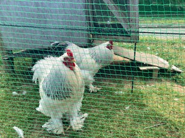 ナステビュウ湯の山に投稿された画像（2024/5/26）