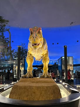 福井県立恐竜博物館に投稿された画像（2024/5/26）