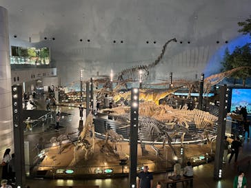 福井県立恐竜博物館に投稿された画像（2024/5/26）