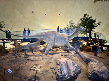 福井県立恐竜博物館に投稿された画像（2024/5/26）