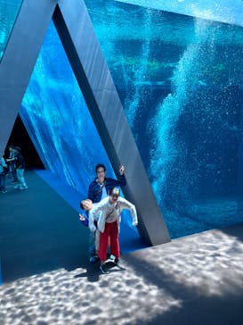 環境水族館アクアマリンふくしまに投稿された画像（2024/5/26）