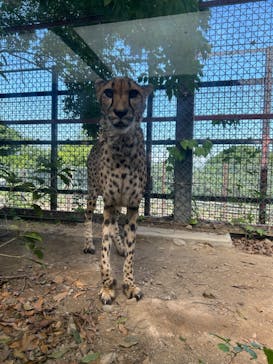 群馬サファリパークに投稿された画像（2024/5/26）