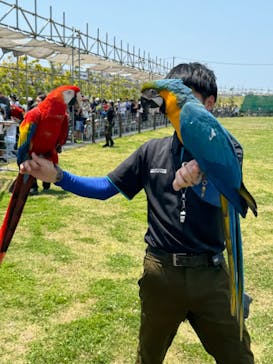 神戸どうぶつ王国に投稿された画像（2024/5/26）