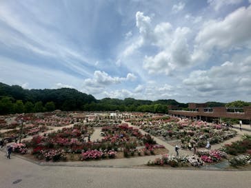 ぎふワールド・ローズガーデンに投稿された画像（2024/5/26）