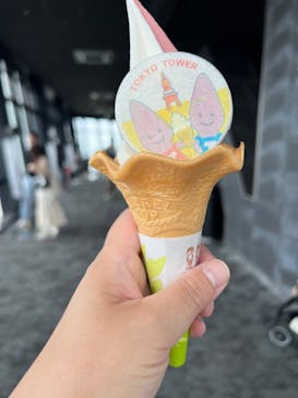 東京タワーに投稿された画像（2024/5/26）