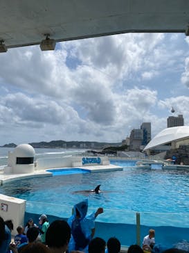 鴨川シーワールドに投稿された画像（2024/5/26）