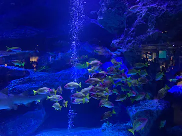 すみだ水族館に投稿された画像（2024/5/26）