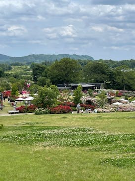 いばらきフラワーパークに投稿された画像（2024/5/26）