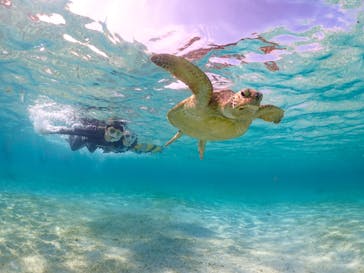 宮古島マリンショップSmileyに投稿された画像（2024/5/26）