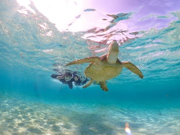 宮古島マリンショップSmileyに投稿された画像（2024/5/26）