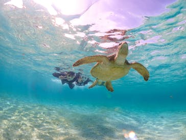 宮古島マリンショップSmileyに投稿された画像（2024/5/26）