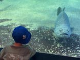 越前松島水族館に投稿された画像（2024/5/26）