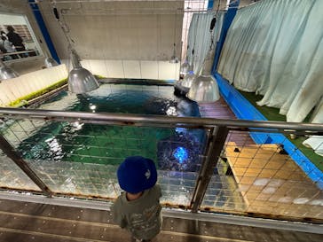越前松島水族館に投稿された画像（2024/5/26）