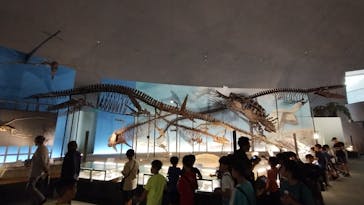 福井県立恐竜博物館に投稿された画像（2024/5/26）