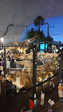 福井県立恐竜博物館に投稿された画像（2024/5/26）