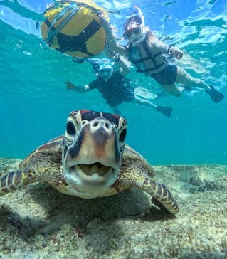 初心者専門宮古島シュノーケリングツアーに投稿された画像（2024/5/26）