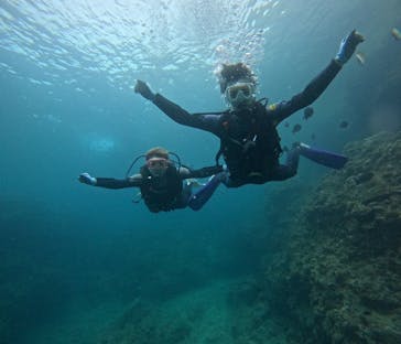 武藤潜水に投稿された画像（2024/5/26）