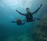 武藤潜水に投稿された画像（2024/5/26）