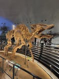 福井県立恐竜博物館に投稿された画像（2024/5/26）