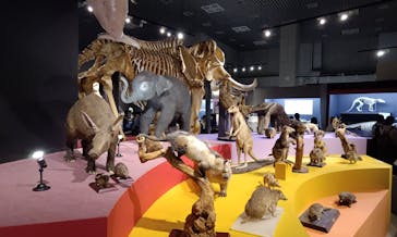 特別展「大哺乳類展３－わけてつなげて大行進」に投稿された画像（2024/5/26）