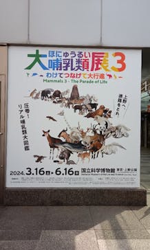特別展「大哺乳類展３－わけてつなげて大行進」に投稿された画像（2024/5/26）