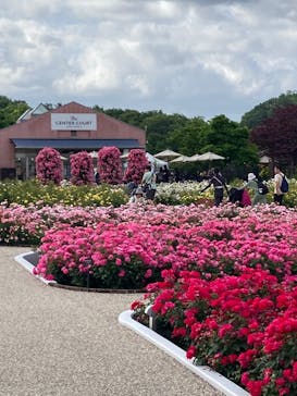 ぎふワールド・ローズガーデンに投稿された画像（2024/5/26）