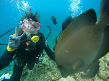 武藤潜水に投稿された画像（2024/5/26）