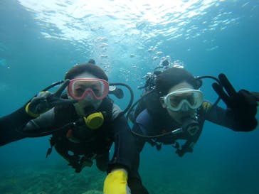 武藤潜水に投稿された画像（2024/5/26）