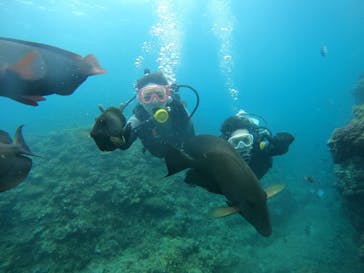 武藤潜水に投稿された画像（2024/5/26）